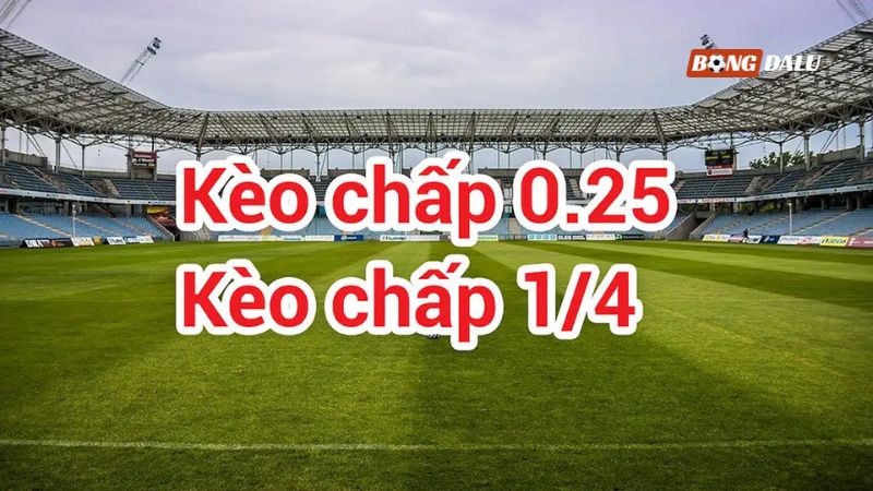 Bạn đã biết kèo bóng đá chấp ¼ là như thế nào chưa? Bạn đã biết kèo bóng đá chấp ¼ là như thế nào chưa?