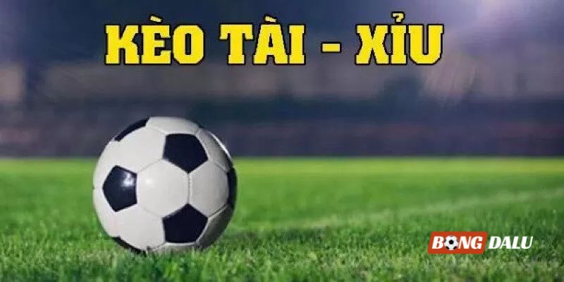 Cần làm gì để luôn luôn ăn kèo cá độ bóng đá Cần làm gì để luôn luôn ăn kèo cá độ bóng đá