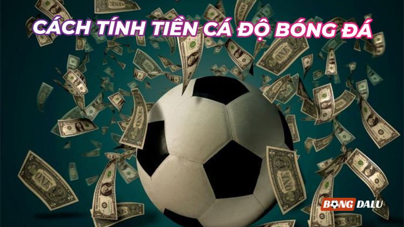 Cách tính tiền trong cá độ bóng đá khi chơi kèo chấp Cách tính tiền trong cá độ bóng đá khi chơi kèo chấp