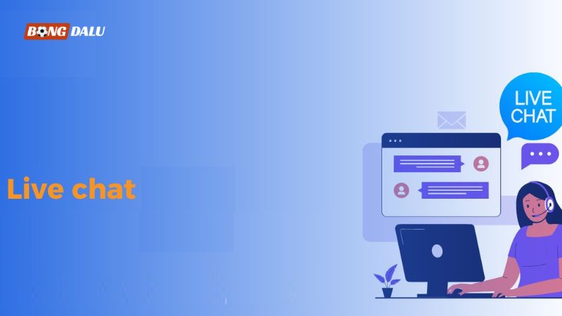 Liên hệ qua Live Chat Liên hệ qua Live Chat
