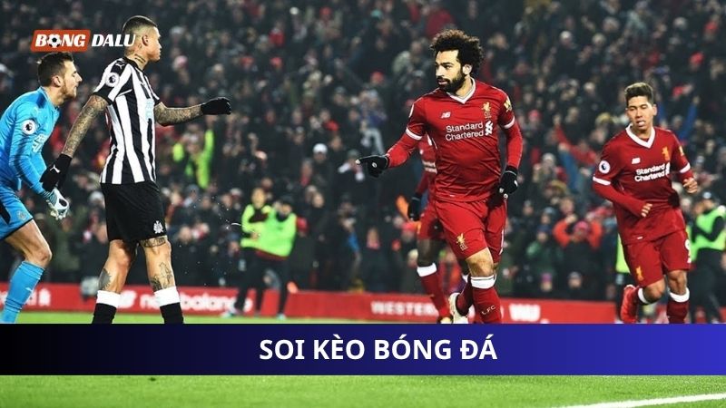 Mẹo sử dụng dữ liệu soi kèo chuẩn xác Mẹo sử dụng dữ liệu soi kèo chuẩn xác